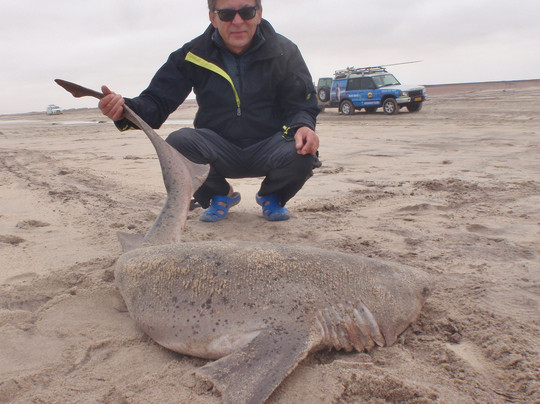 Aquanaut Tours-斯瓦科普蒙德必去景点
