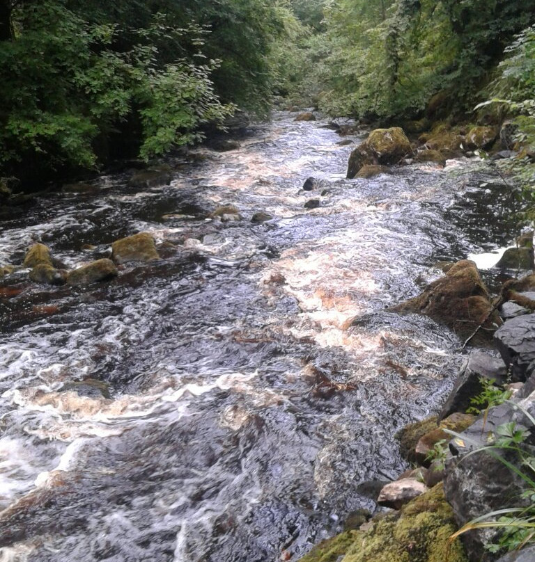 Cladagh Glen Walk-Belcoo必去景点