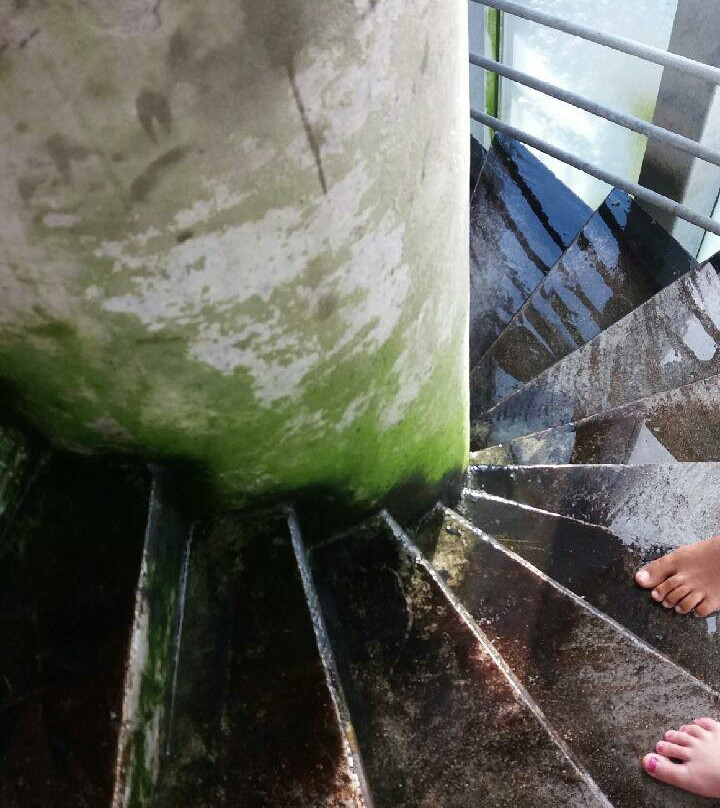 Plaine Oxygène-鲁瓦西--勒梅--阿姆洛必去景点