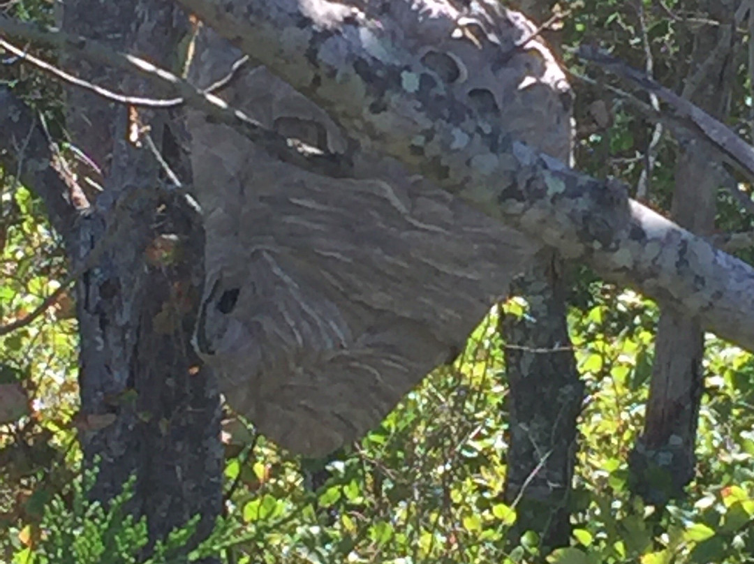 Great Bay National Estuarine Research Reserve-Stratham必去景点