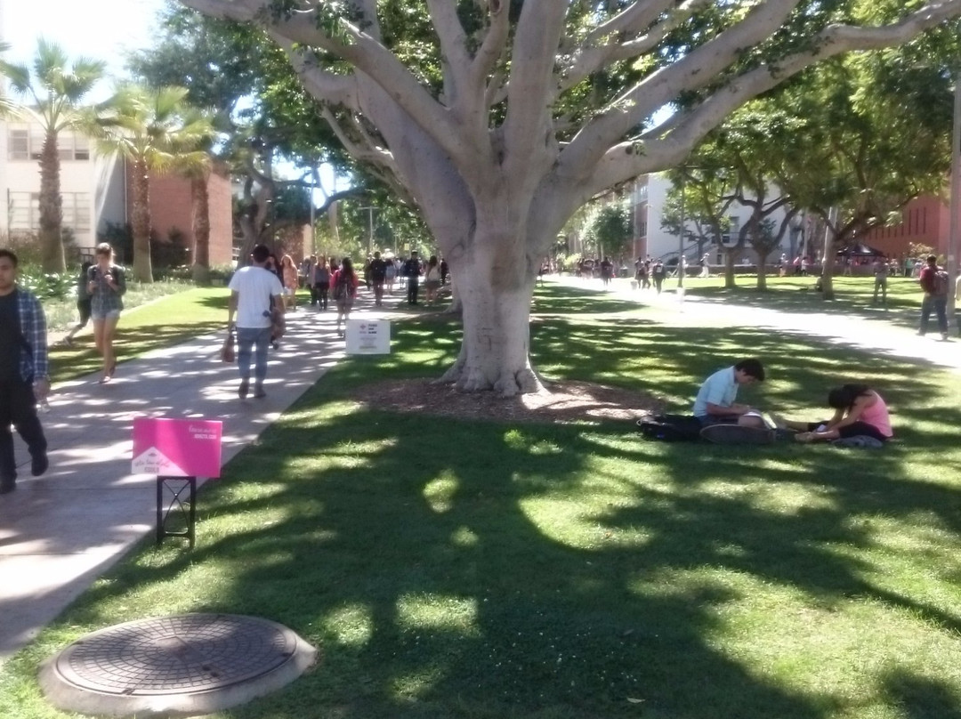 California State University Long Beach-长滩必去景点