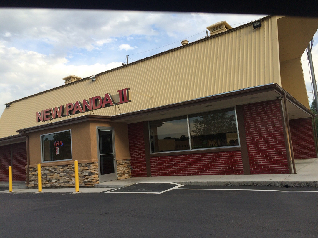 New Panda 2