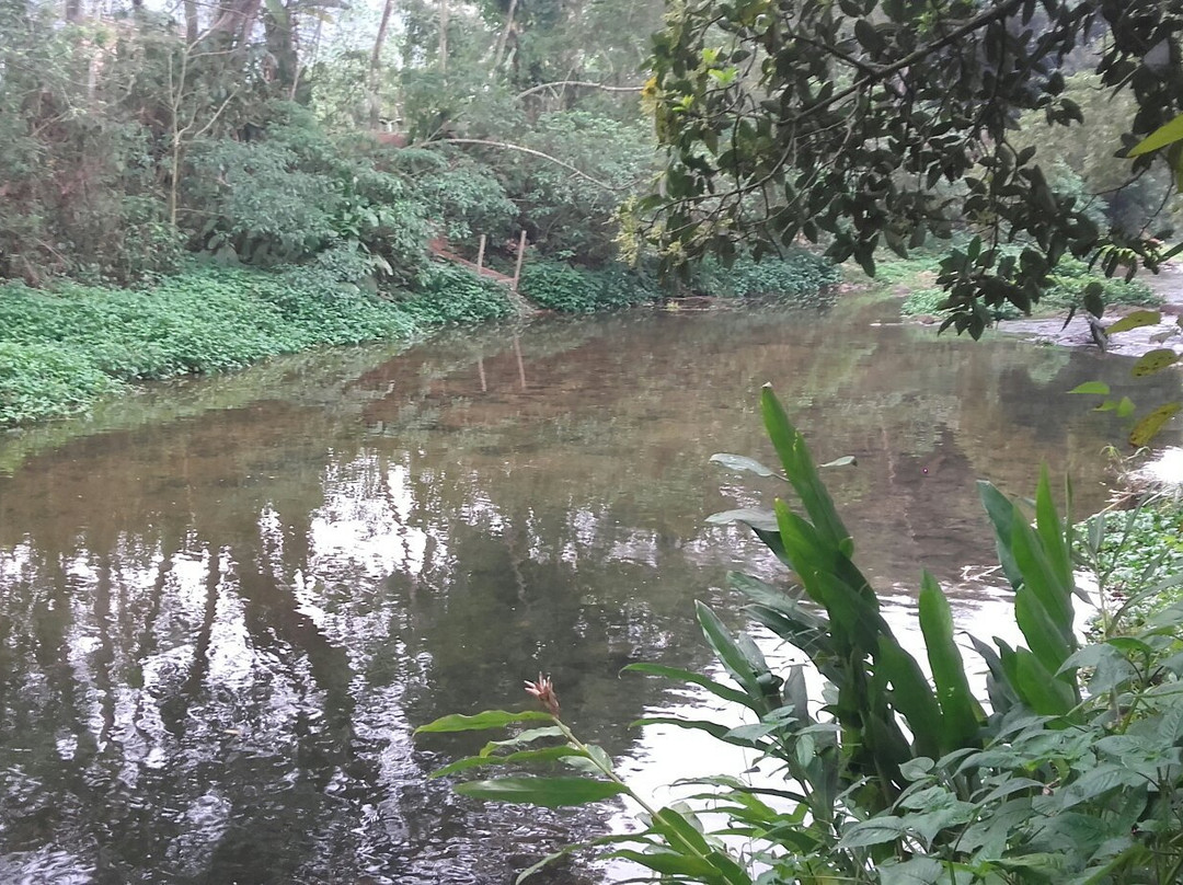 Quintal do Rio