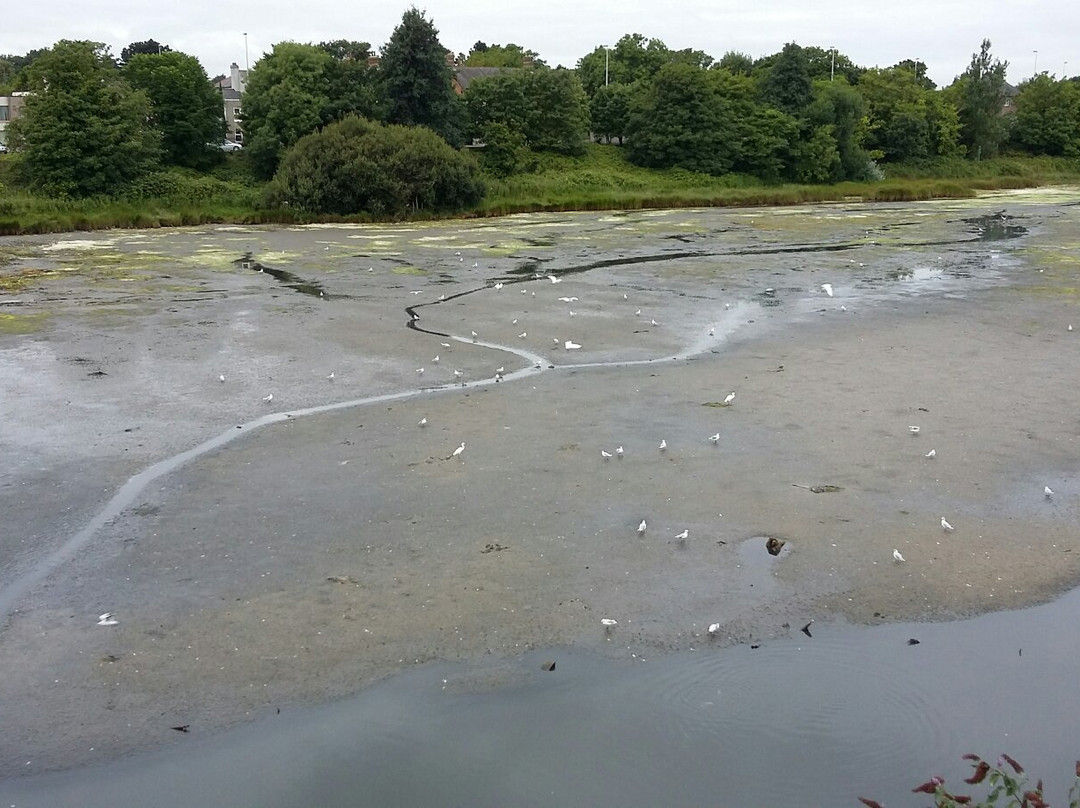 Booterstown Bird Sanctuary-都柏林必去景点