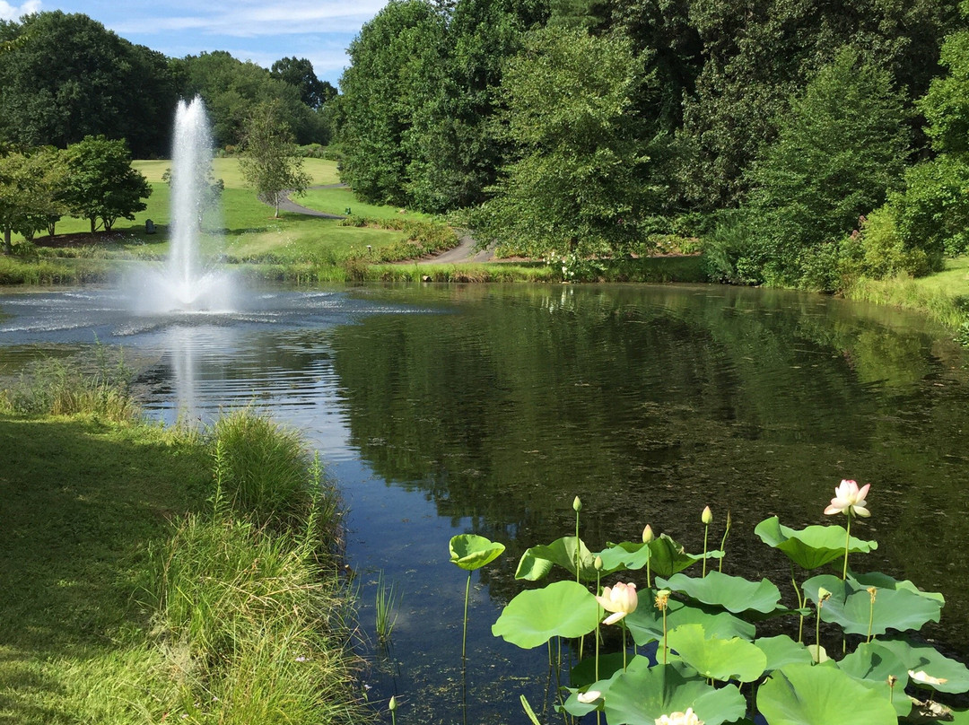 维也纳旅游攻略图片