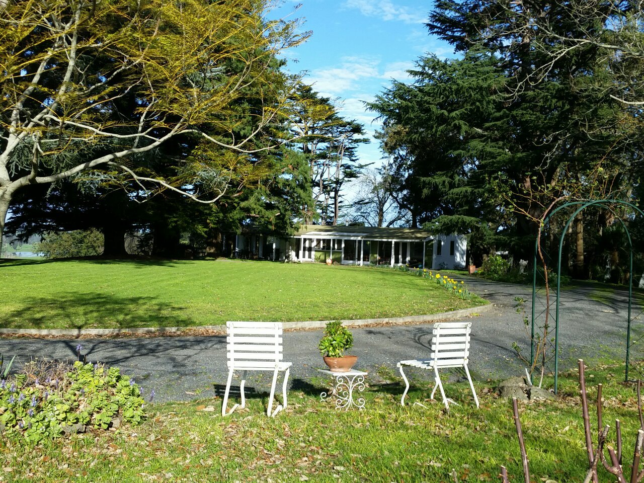 Knockwood Estate-官方