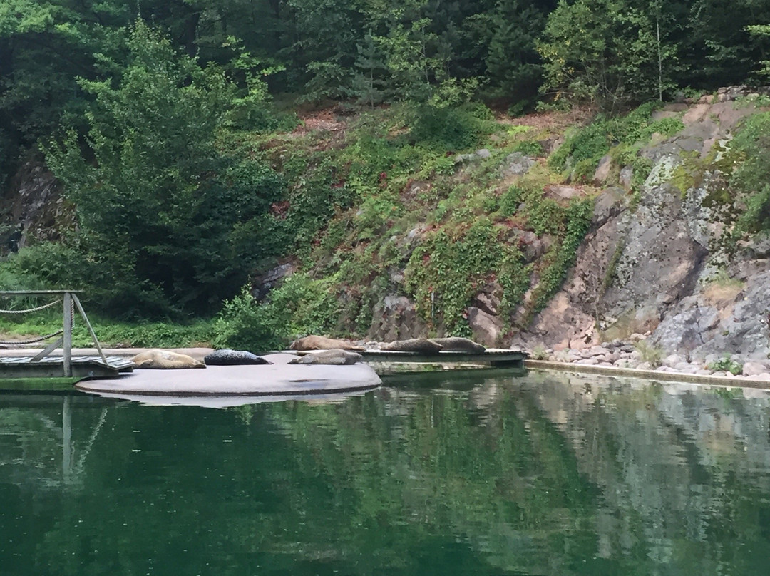 Children's Zoo-哥德堡必去景点