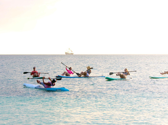 Vitamin Sea Cayman Islands-乔治城必去景点