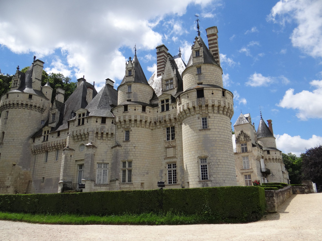 Château d'Ussé景点图片