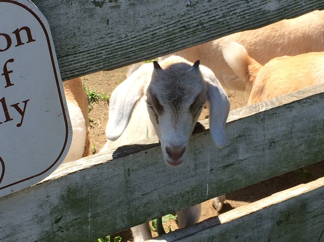 Retreat Farm-布拉特尔伯勒必去景点