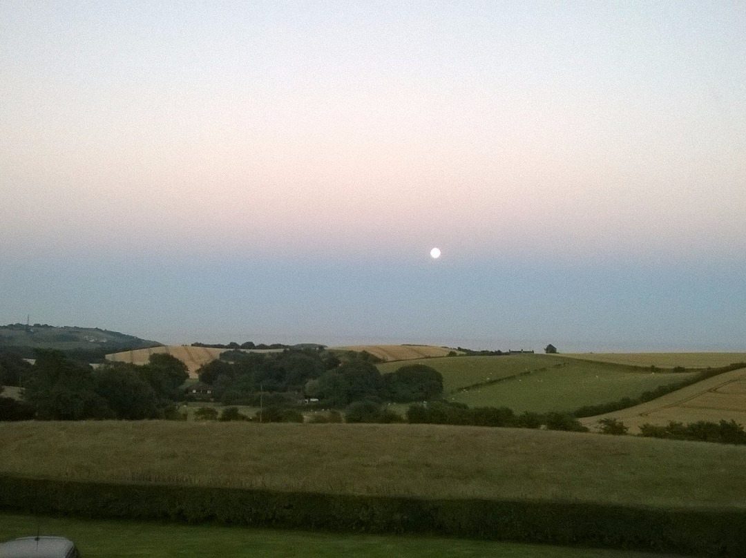 Pigeonwood House主图