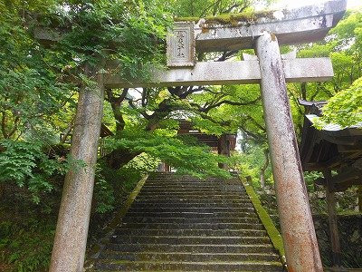 Yabu Shrine-养父市必去景点
