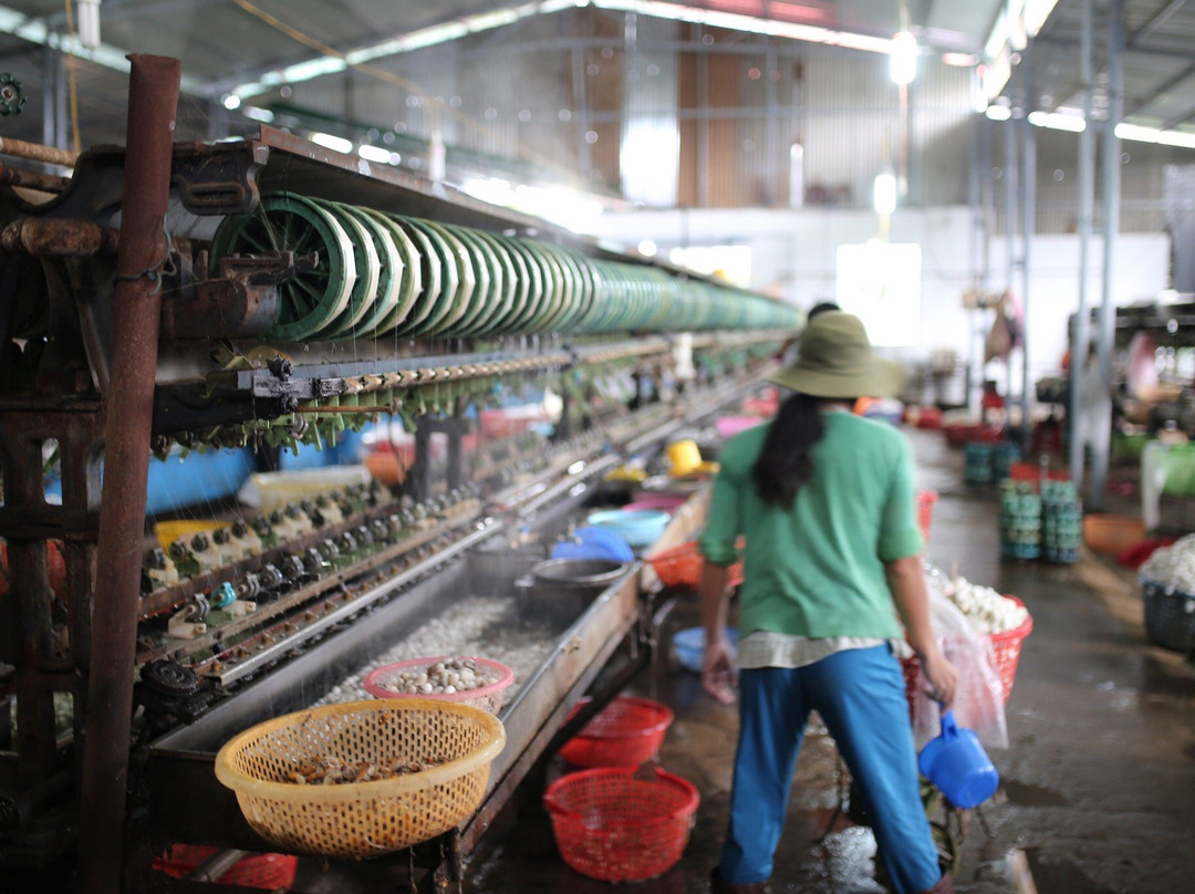 Cuong Hoan Silk Factory景点图片