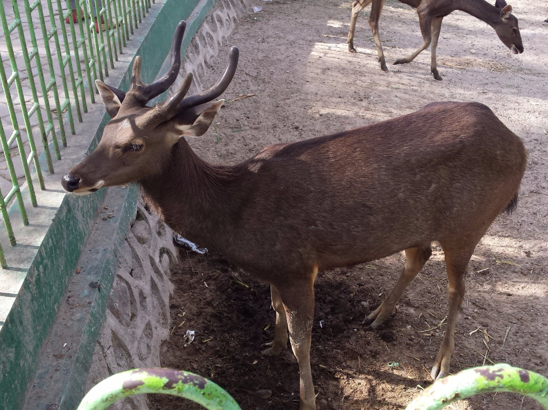 Wildlife Cultural Park Kinantan-武吉丁宜必去景点
