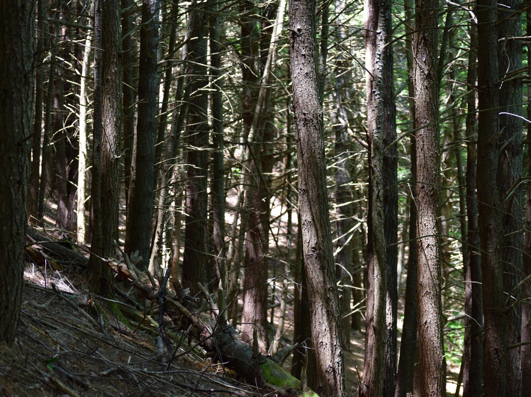 Bear Brook State Park景点图片