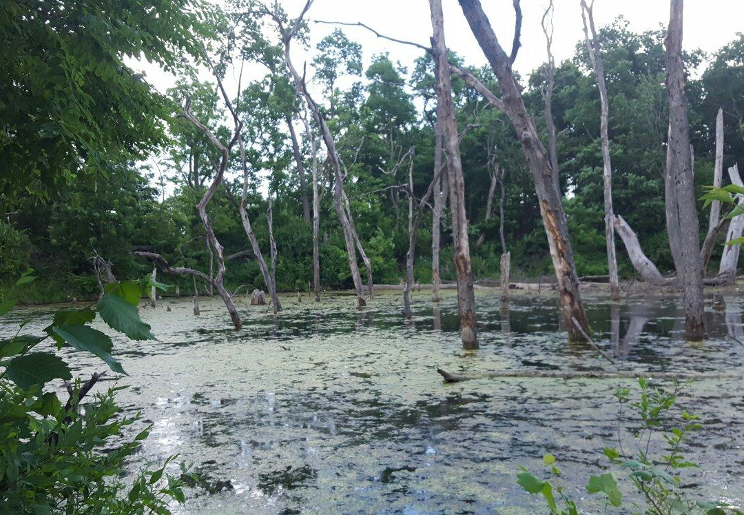 Waterfall Park-Independence必去景点