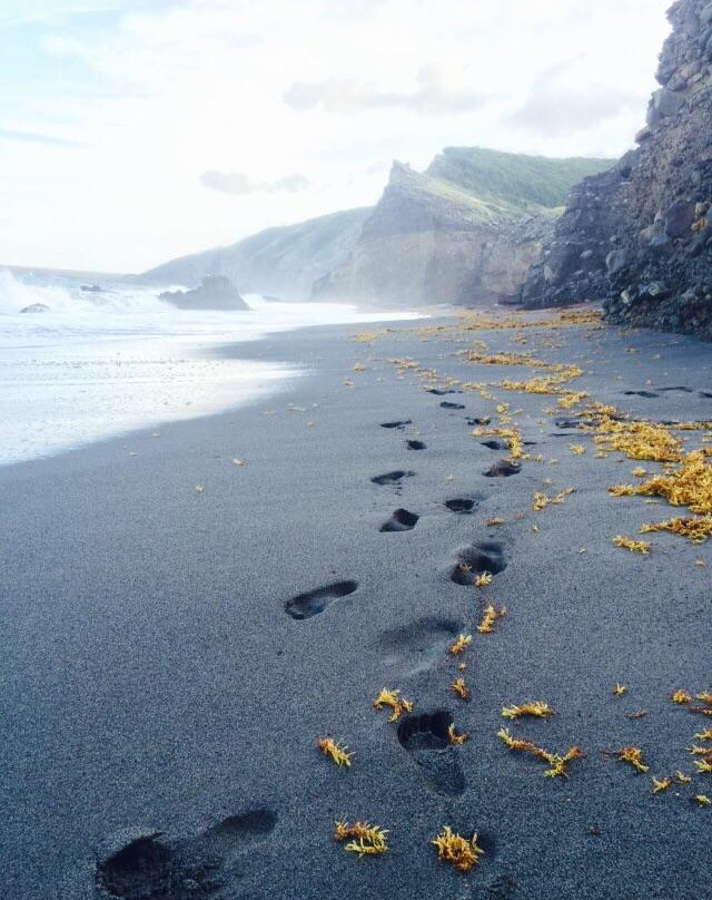 Montserrat Jolly Up Tours-Jolly Harbour必去景点