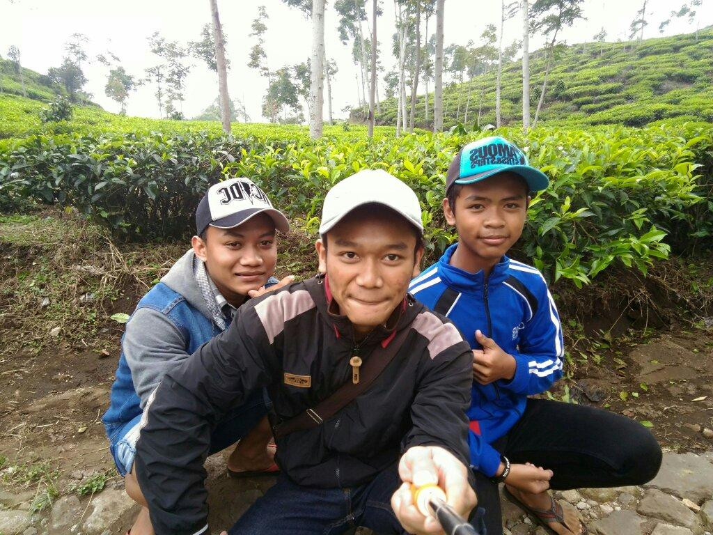 Kebun Teh Jamus (Lereng Gunung Lawu)景点图片