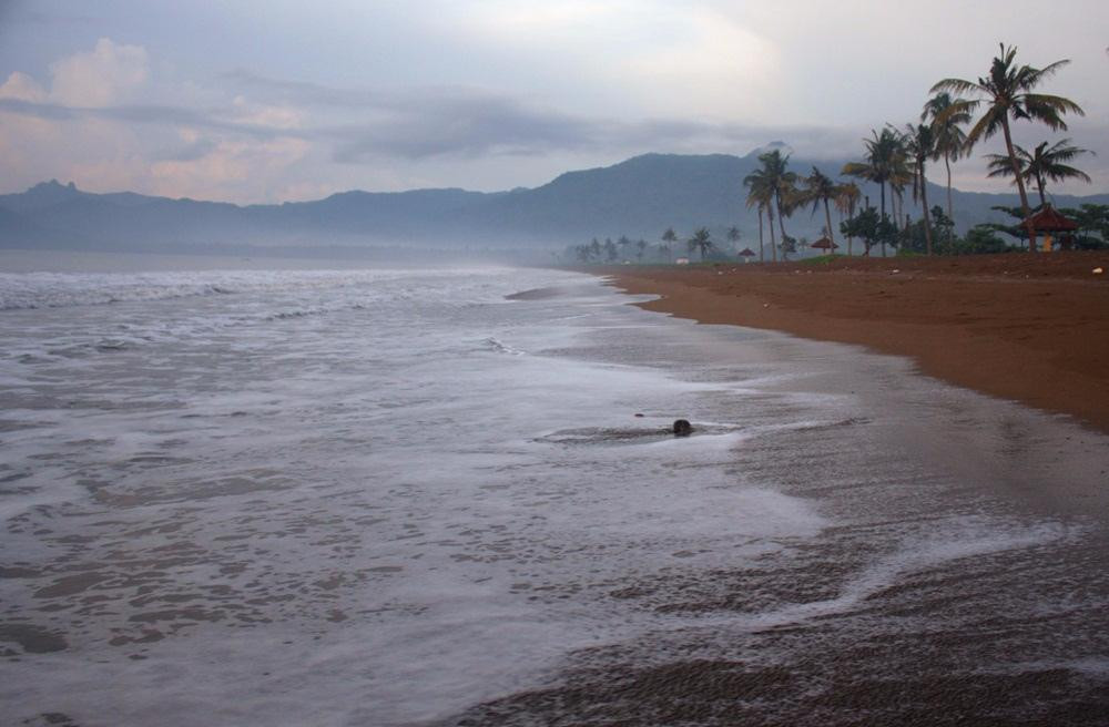 Prigi Beach-Trenggalek必去景点