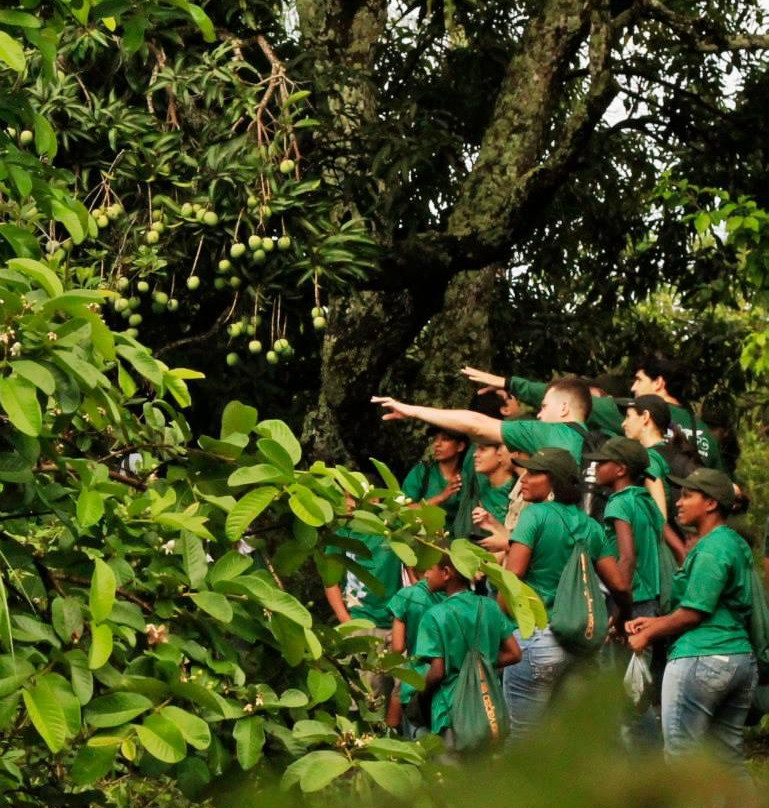 O Mochileiro Ecoturism and Adventure-Paracatu必去景点