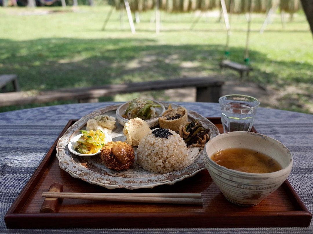 夷隅市餐馆和美食-Rice Terrace Cafe