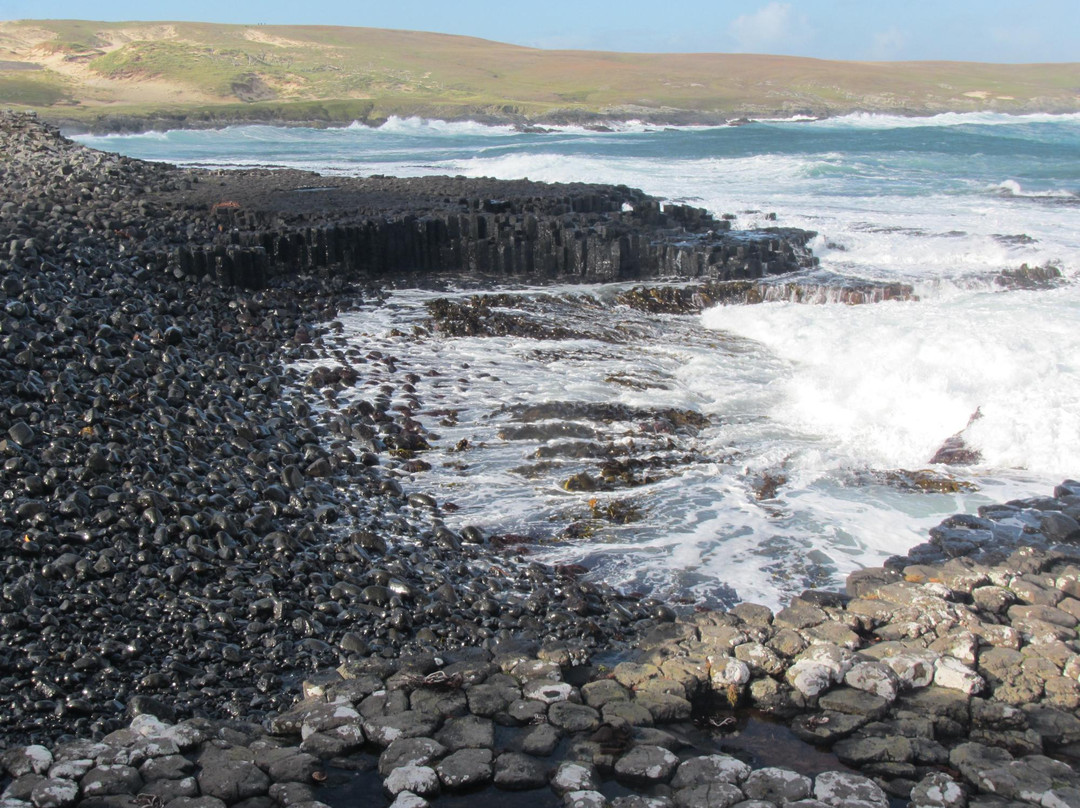 Basalt Columns-Chatham Island (Rekohu)必去景点