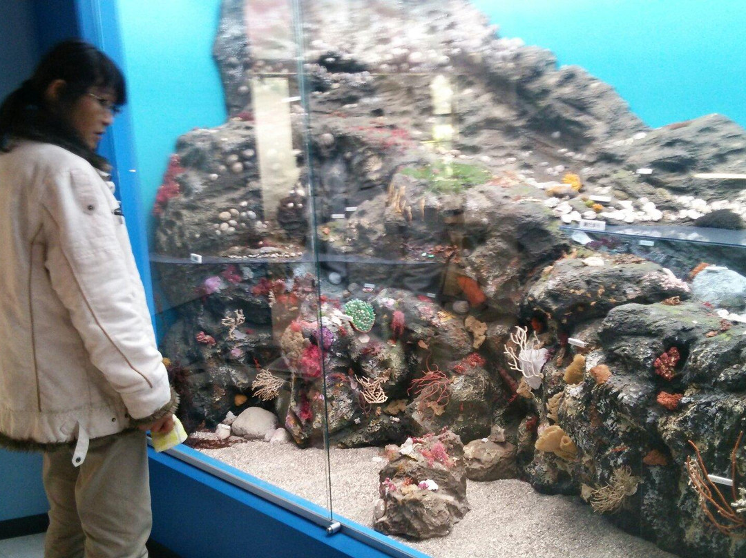 真鹤町旅游景点-Manazuru Shell Museum