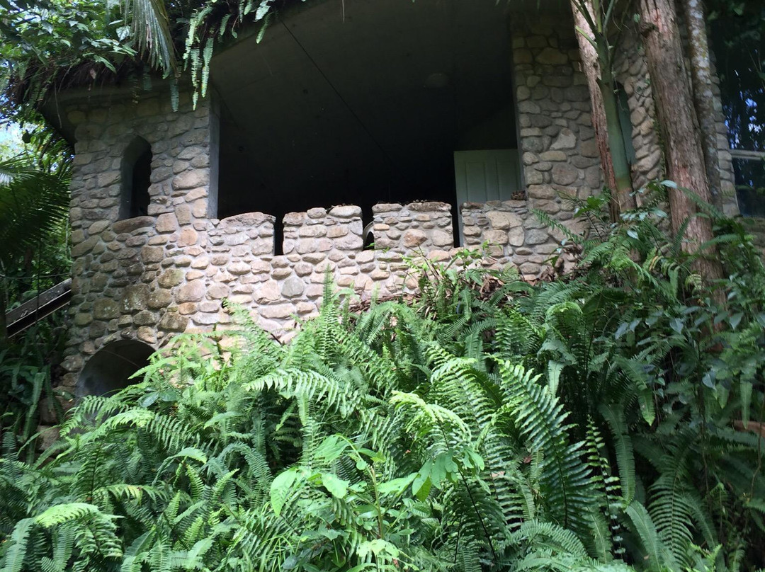 Forest Flying-Finch Hatton必去景点