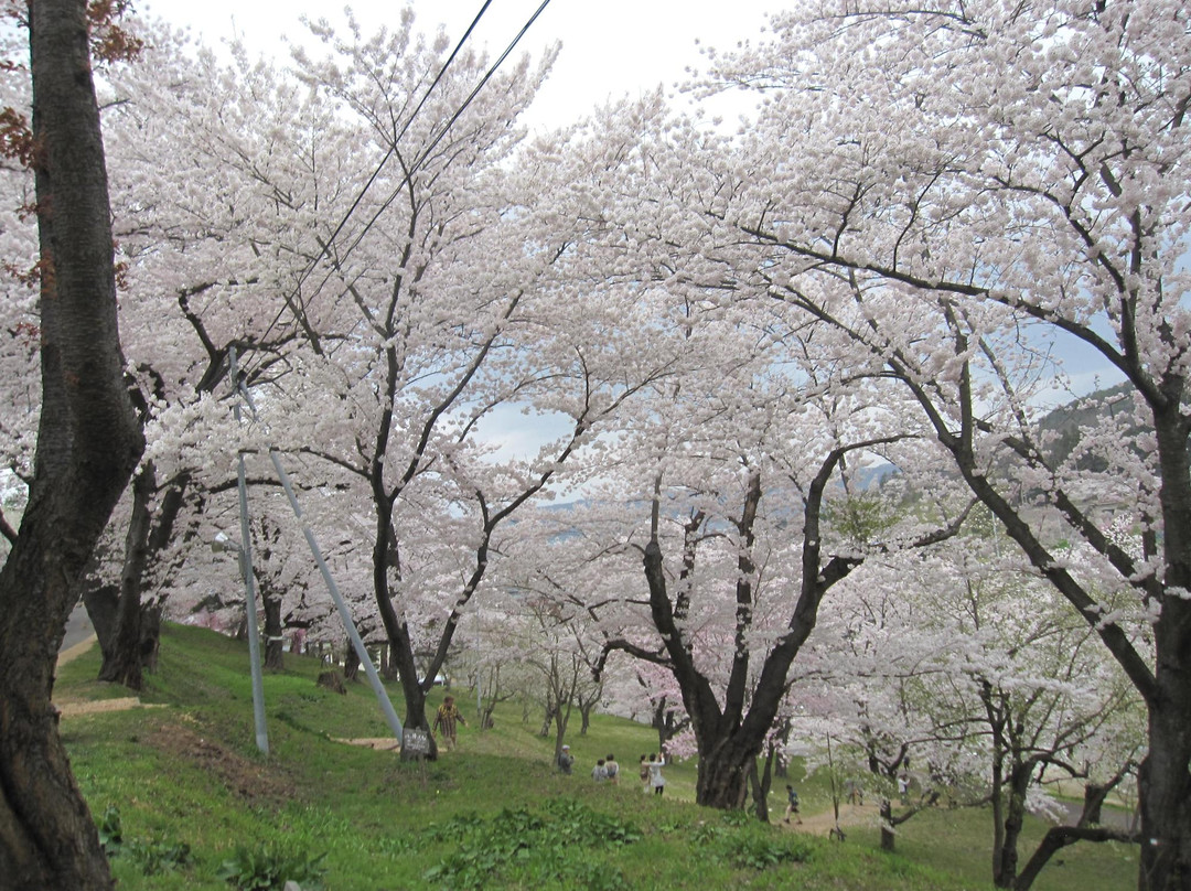 Eboshiyama Park-南阳市必去景点