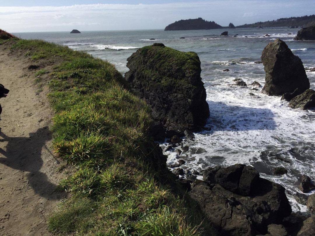 Luffenholtz Beach Park景点图片