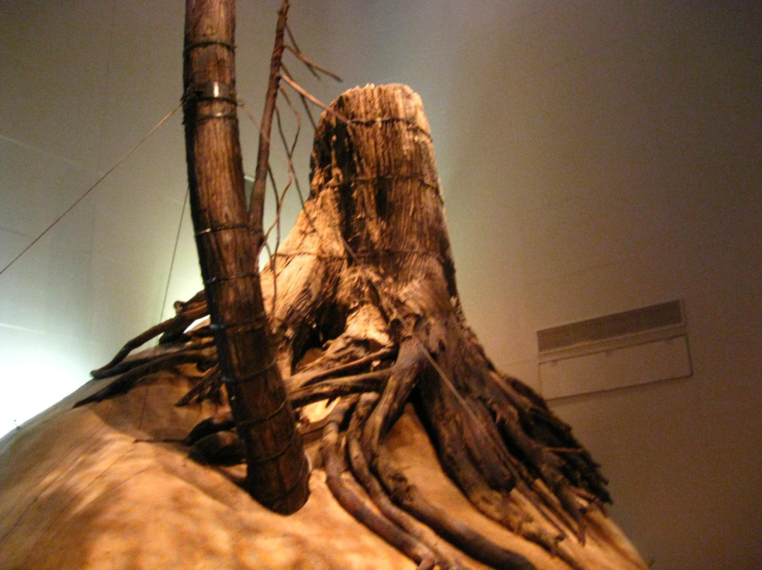 Shimane Nature MUseum of Mt.Sambe Sahimel-大田市必去景点