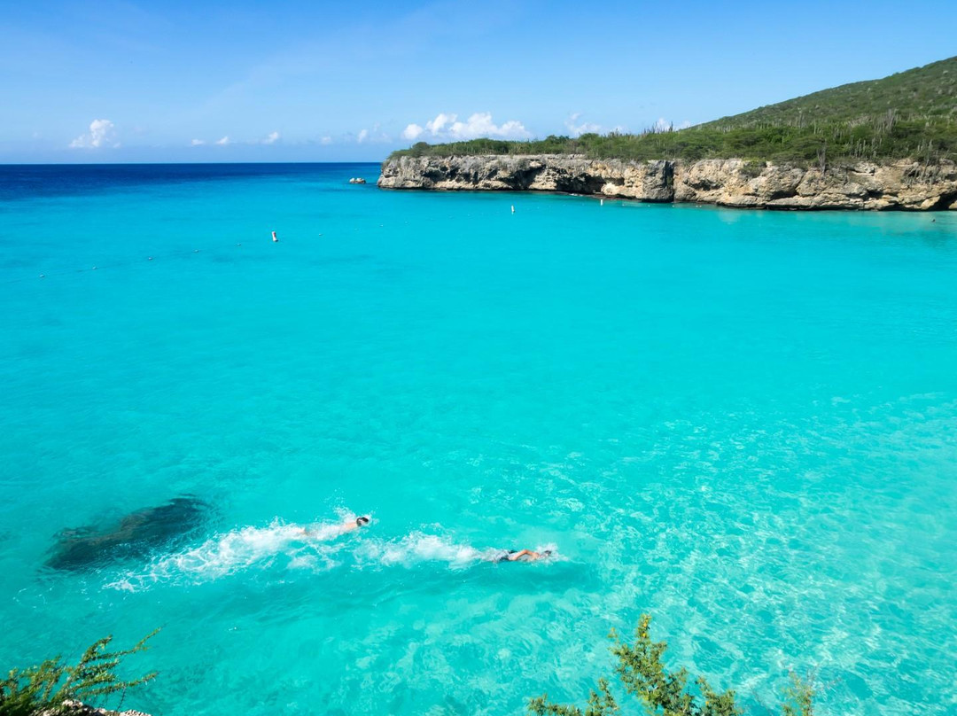 Gail's Gallery-威廉斯塔德必去景点