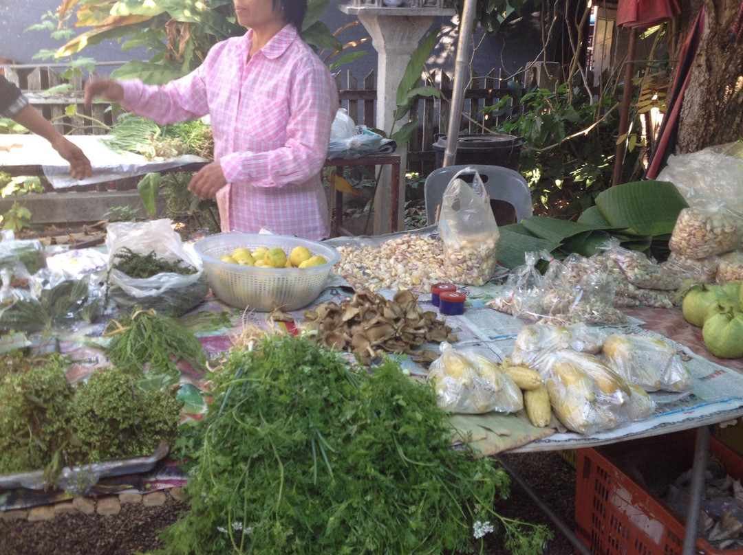 Chiang Dao Market-清佬必去景点