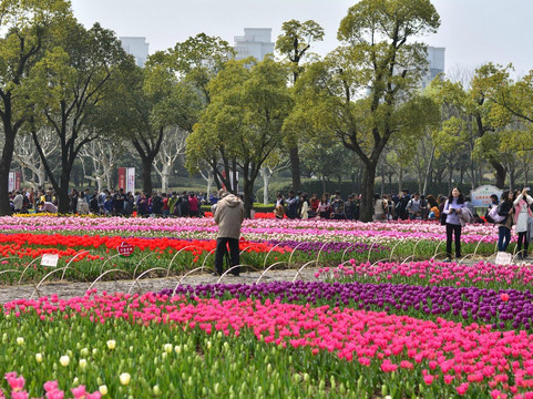 大宁灵石公园-上海市必去景点