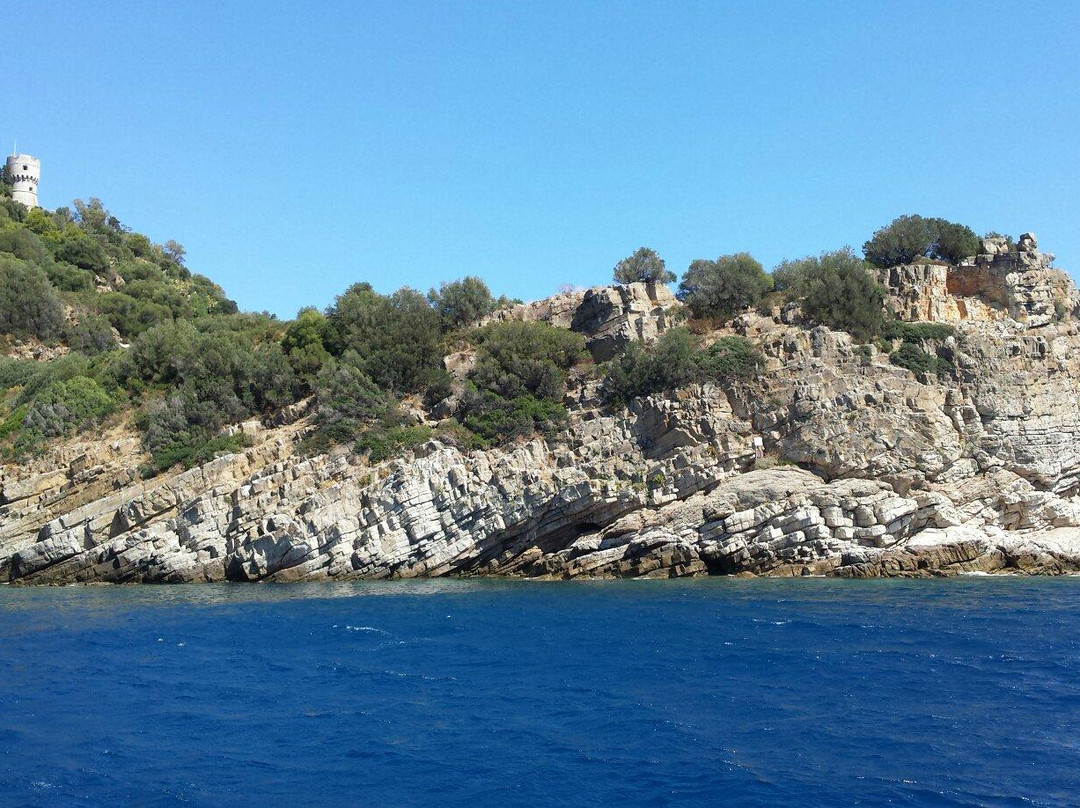 Isola Gallinara Tour-Andora必去景点