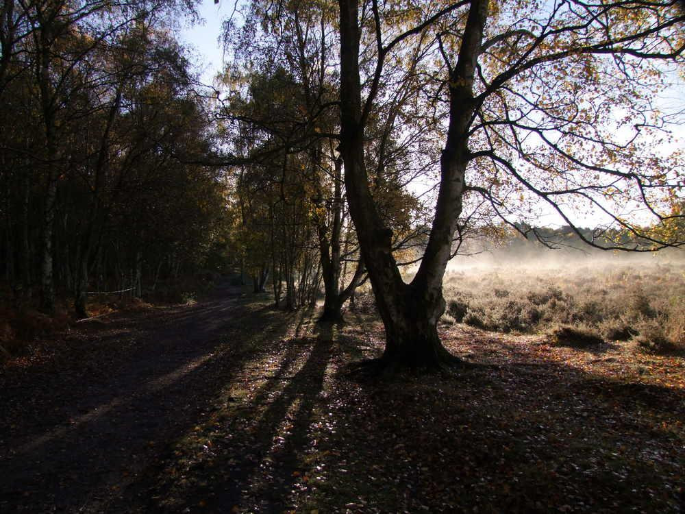 Wombourne旅游攻略图片
