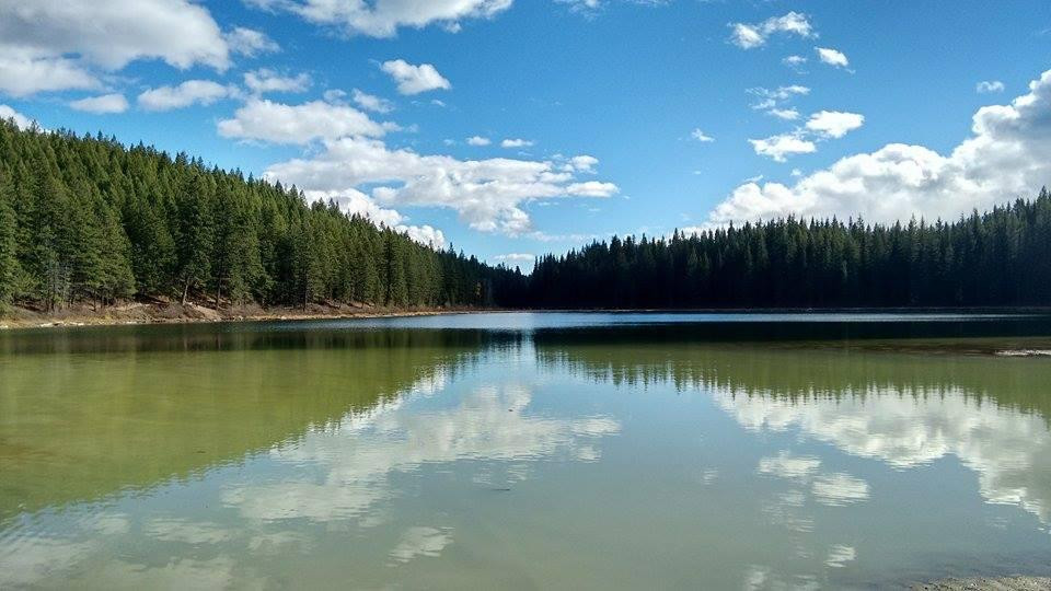 Cedar Lake景点图片