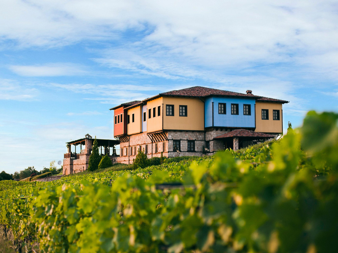 Vergina酒店住宿-Estate Kalaitzis