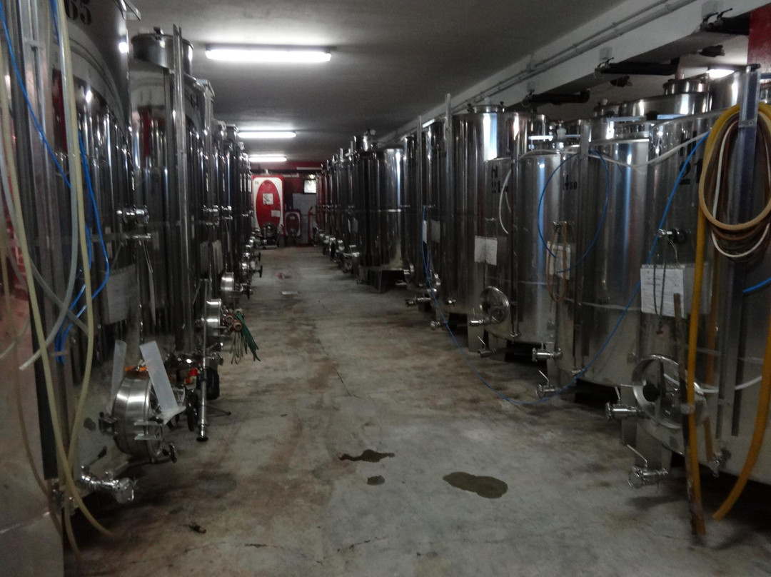 Azienda Agricola Zorutti景点图片