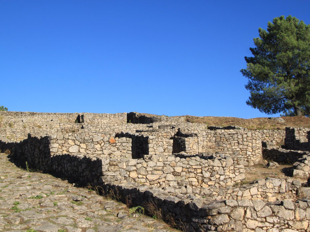 Parque Arqueoloxico Da Cultura Castrexa景点图片