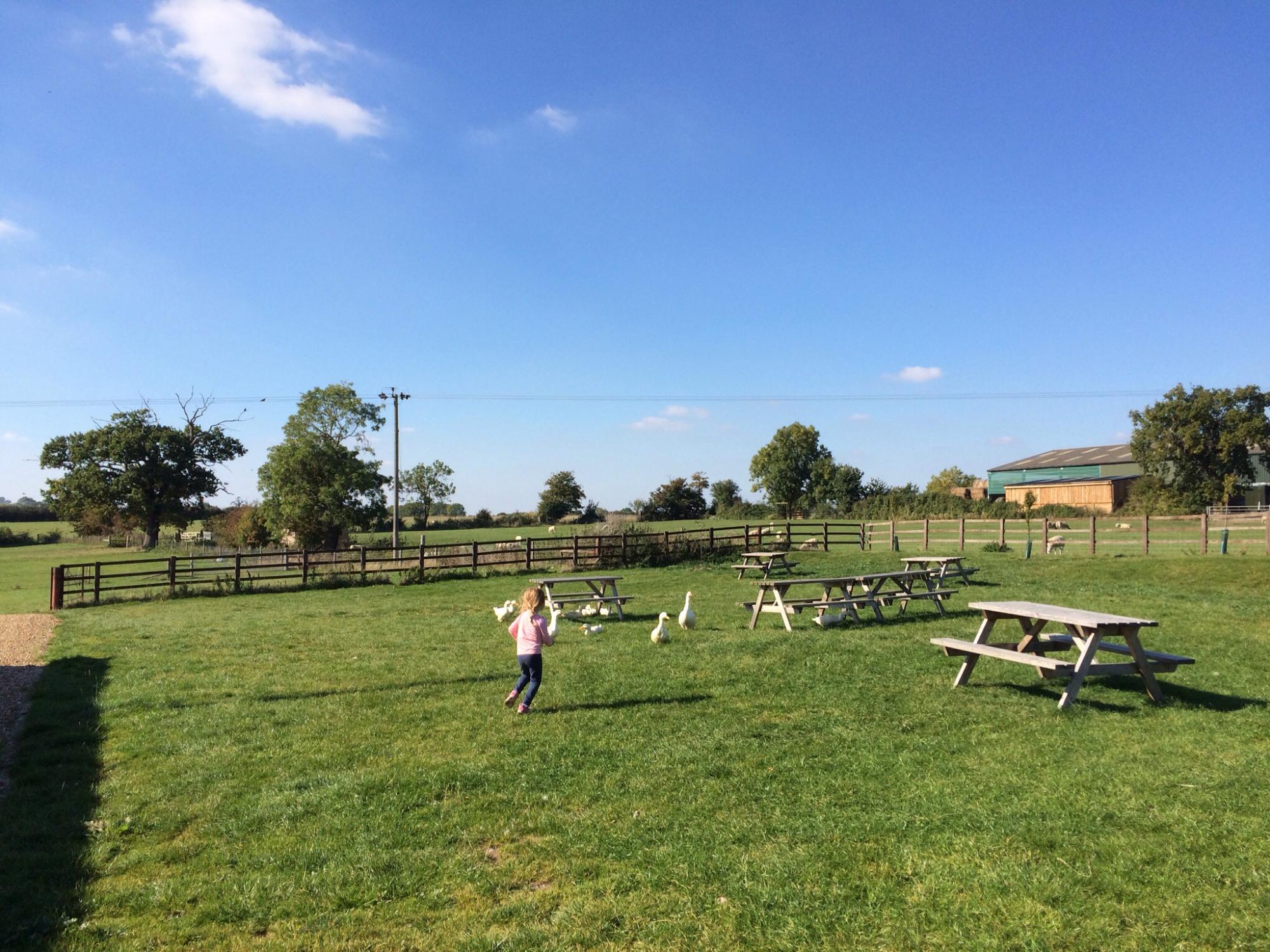 Scald End Farm-官方