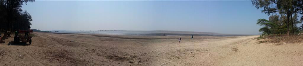 Orchard, The Resort主图