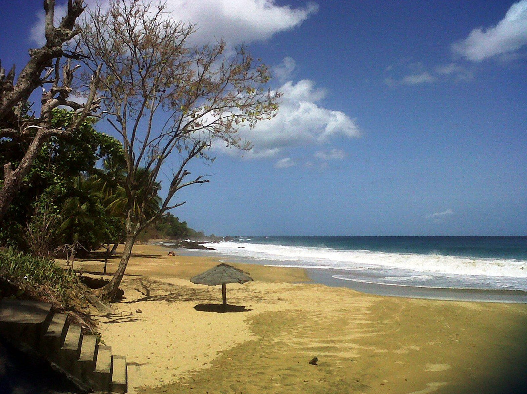 Black Rock Divers Tobago-Black Rock必去景点