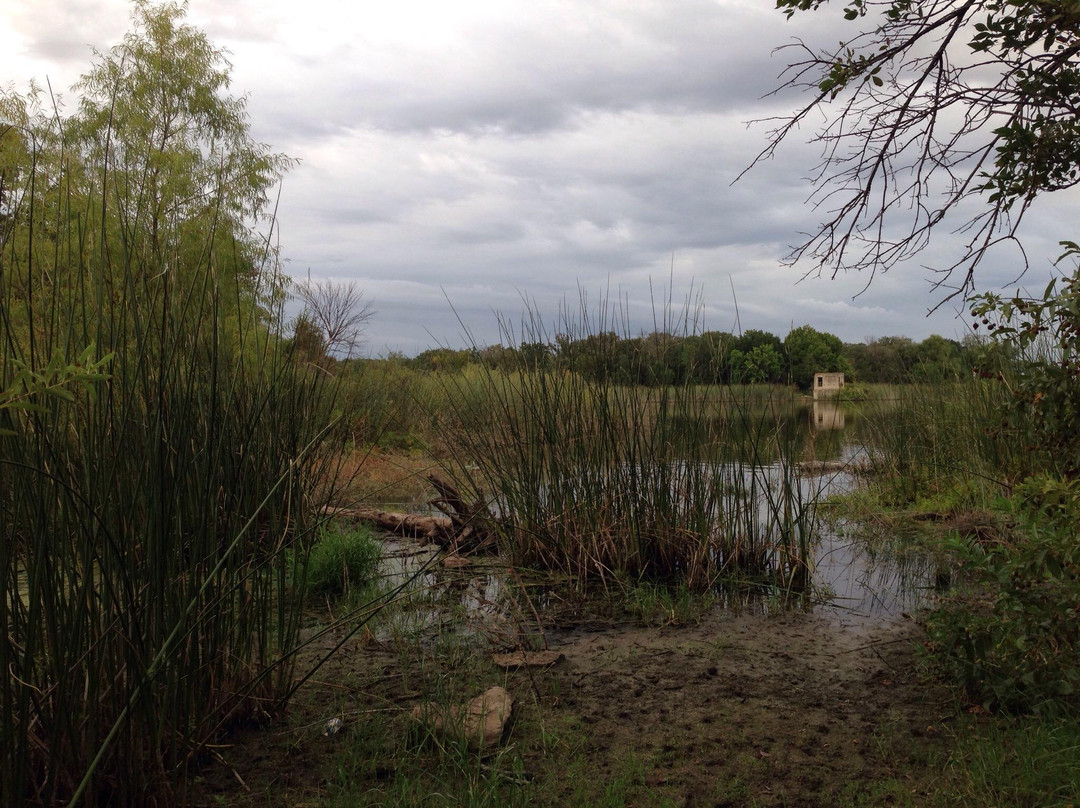 Lake Mineral Wells State Park-矿泉井城必去景点