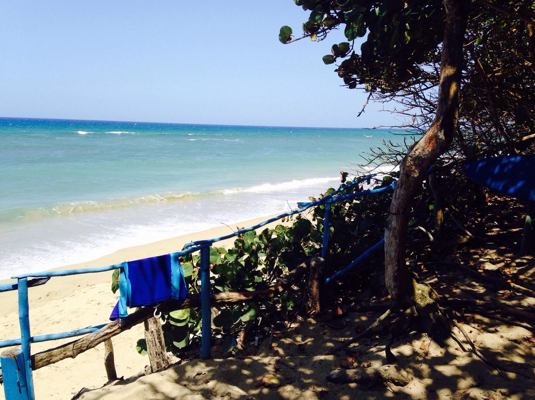 Bobo Surfs Up Surf School-喀巴里特必去景点