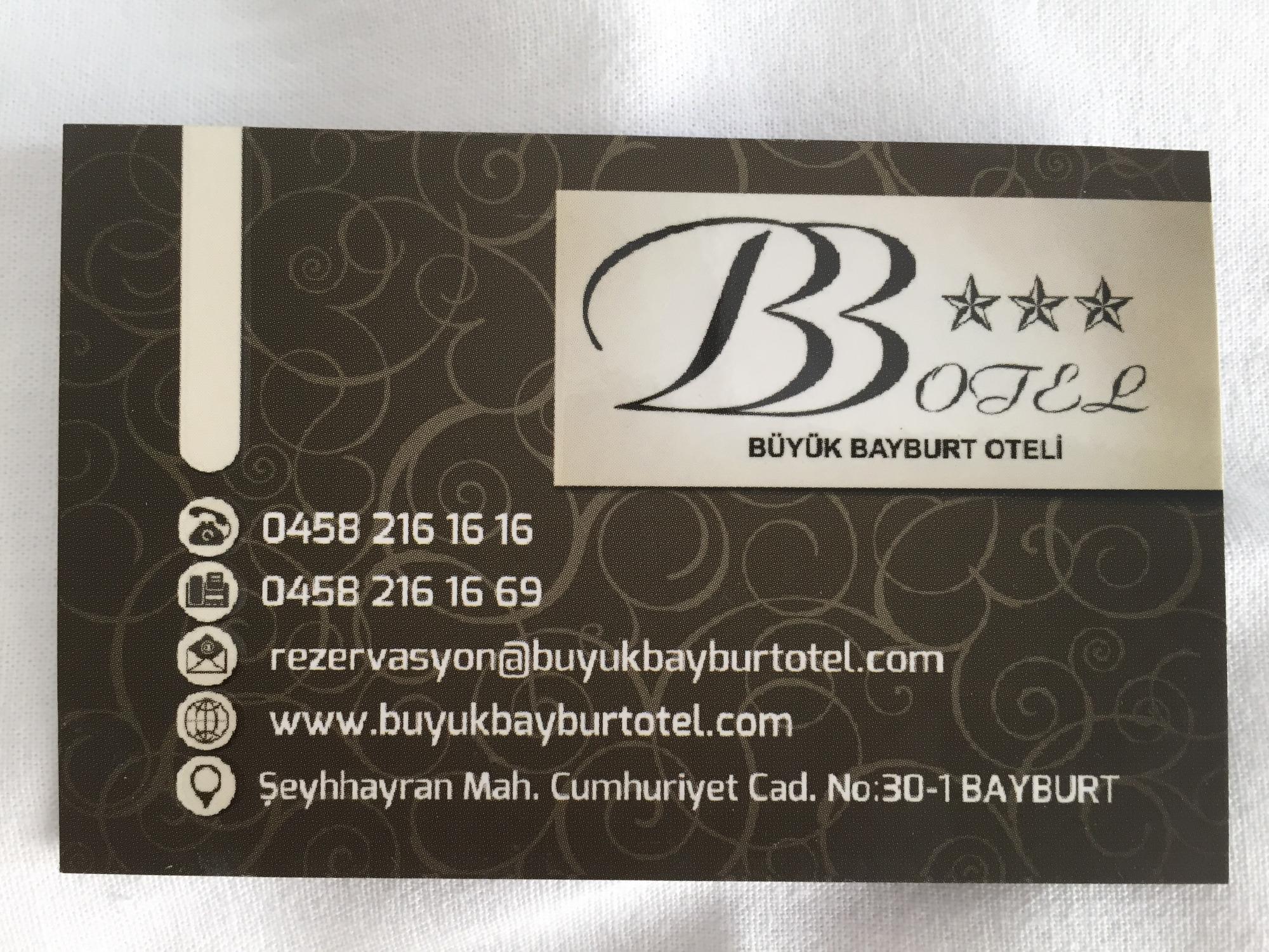 Buyuk Bayburt Hotel-客卧