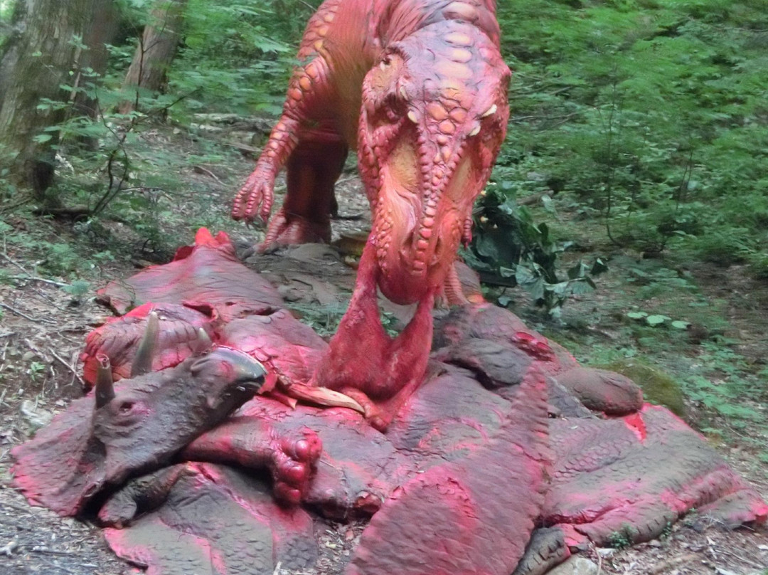 Akeno Kogen Camp Site-郡上市必去景点