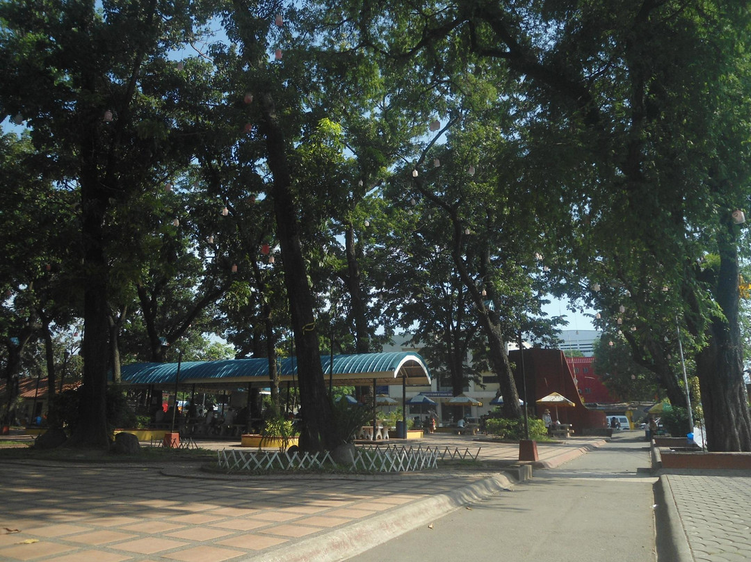 Vicente de Lara Park景点图片
