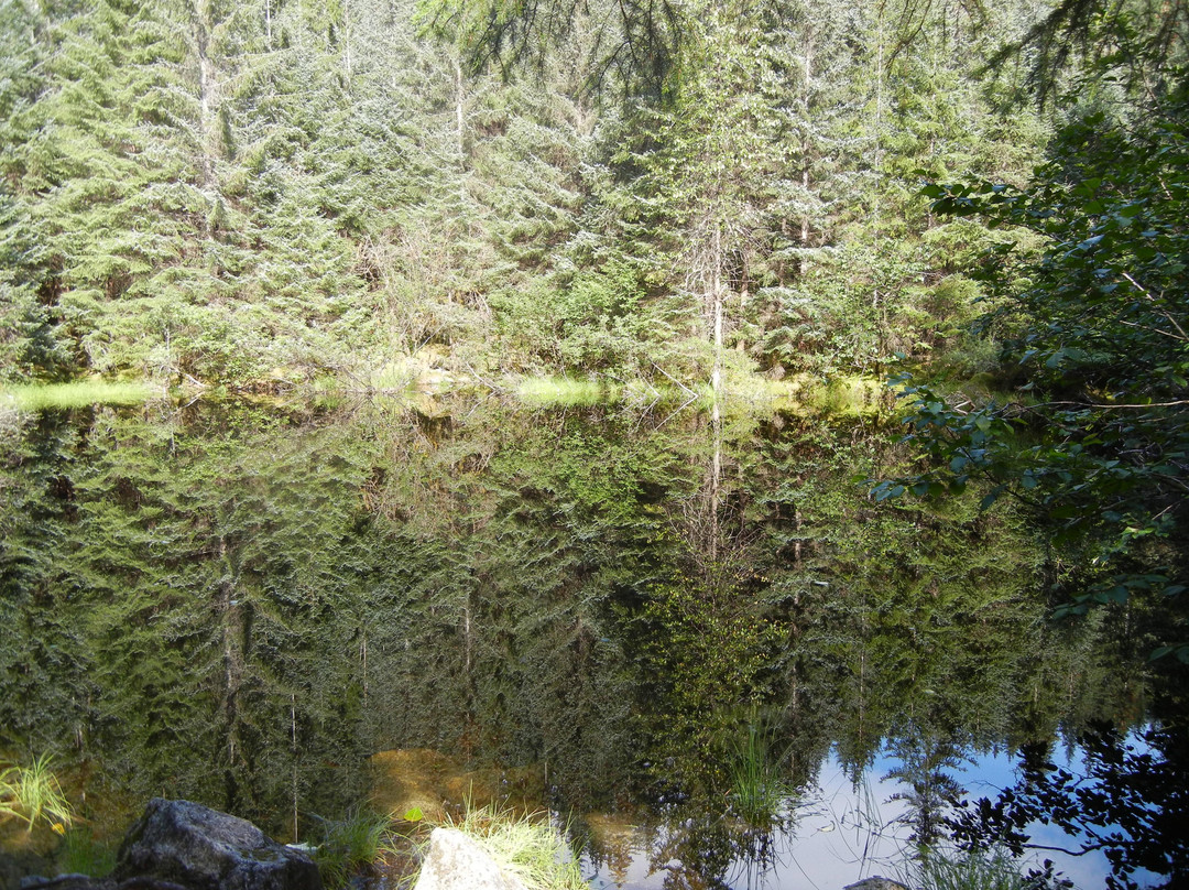 Gastineau Guiding-朱诺必去景点