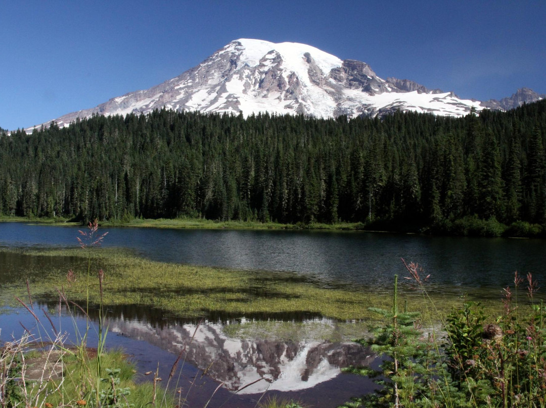 Mount Rainier National Park景点图片